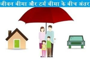 kya-jivan-beema-aur-term-insurance-ke-beech-anter-hai